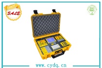CYHG-206 CT/PT現(xiàn)場校驗儀