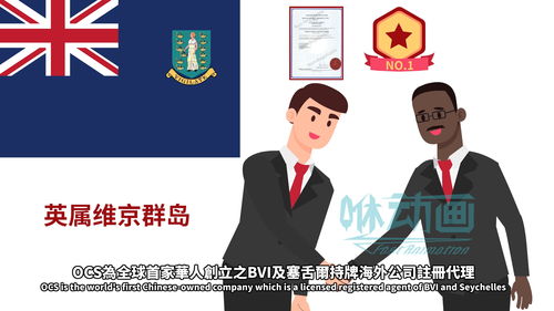 網絡技術服務產品宣傳動畫 風格選擇指南